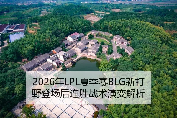2026年LPL夏季赛BLG新打野登场后连胜战术演变解析